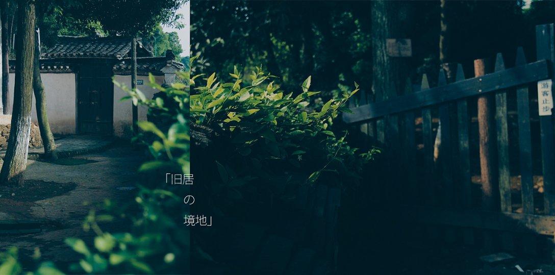 虎胆熊威2中文无敌版