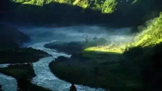 大遗址森林逃生