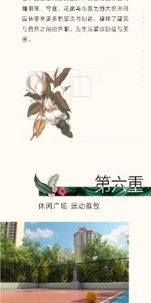 逗小猴开心系列213