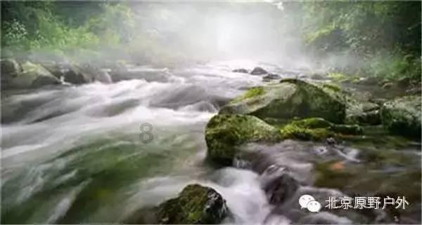 小乌龟逃亡记