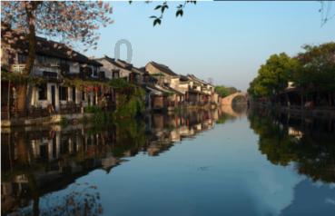 他画一只鸟卖了82万,网友吐槽:不如小学生,专家:往鸟眼睛里看