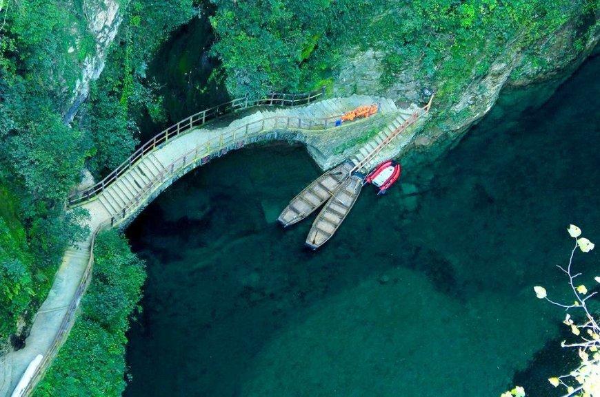 建设时评 | 应为居住区绿化建设“立规矩”